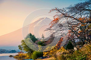 Sunrise over Mount Fuji and fall garden in Lake Kawaguchiko on autumn at Japan