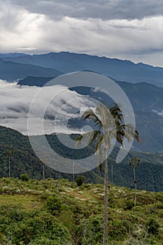 Sunrise over the mountains of the Sierra Nevada de Santa Marta photo