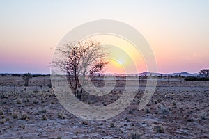 Sunrise over The Namib desert, roadtrip in the wonderful Namib Naukluft National Park, travel destination in Namibia, Africa. Morn