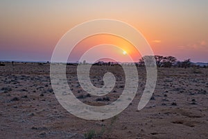 Sunrise over The Namib desert, roadtrip in the wonderful Namib Naukluft National Park, travel destination in Namibia, Africa. Morn