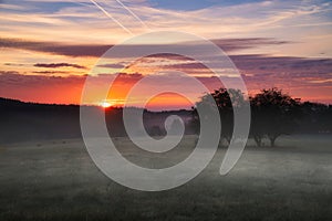 Sunrise over a neighboring forest with meadow in the foreground. Pasture landscape