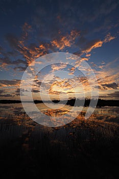 Sunrise over Nine Mile Pond in Everglades National Park, Florida.