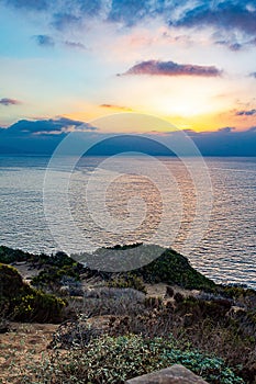 Sunrise over pacific ocean from cliff side with plants photo