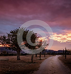 Sunrise over provence , with the Luberon mountains ,France