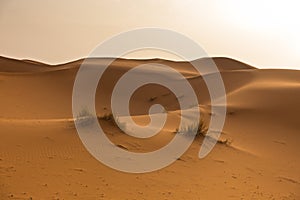 Sunrise over sand dunes in Erg Chebbi, Sahara desert, Morocco