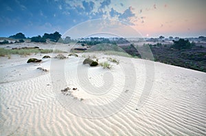 Sunrise over sand dunes and heather