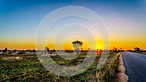 Sunrise over the savanna and grass fields in central Kruger National Park