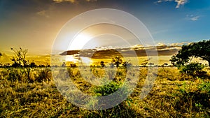 Sunrise over the savanna and grass fields in central Kruger National Park