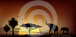 Sunrise over the savannah with African elephants and trees