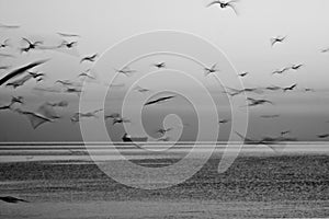 Sunrise over the Sea