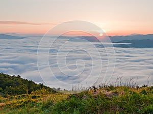 Sunrise over sea fog. Summer mountain landscape.