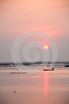 Sunrise over the sea of pink lotus, Thailand