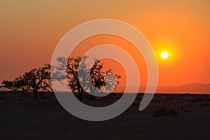 Sunrise over Sossusvlei, the Namib-Naukluft National Park of Namibia