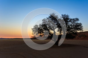 Sunrise over Sossusvlei, the Namib-Naukluft National Park of Namibia