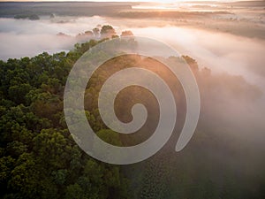 Sunrise over spring meadow. Spring aerial landscape. Spring sunrise over green forest and field with river and fog.