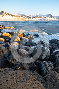 Sunrise over stunning mountain landscape in Iceland, Ocean coast with volcanic rocks and yellow grass, Pure nature at