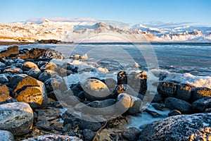 Sunrise over stunning mountain landscape in Iceland, Ocean coast with volcanic rocks and yellow grass, Pure nature at