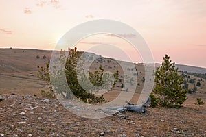 Sunrise over Teacup Canyon / Bowl on Sykes Ridge in the Pryor Mountains on the Wyoming Montana border - USA