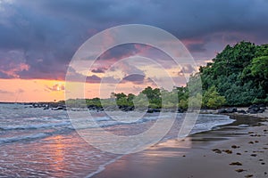 Sunrise over a tropical beach with reflections, mangroves and rainforest