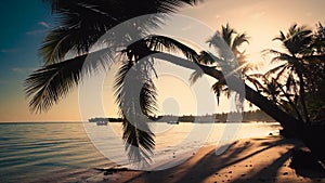 Sunrise over tropical island beach and palm tree. Punta Cana Dominican Republic