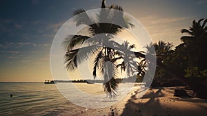 Sunrise over tropical island beach and palm tree. Punta Cana Dominican Republic