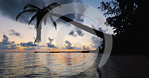 Sunrise over tropical island beach and palm tree. Punta Cana Dominican Republic