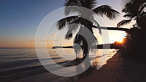 Sunrise over tropical island beach and palm trees