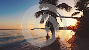 Sunrise over tropical island beach and palm trees