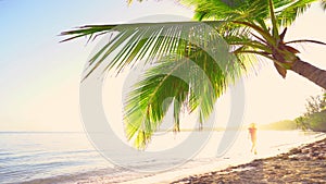 Sunrise over tropical island beach and palm trees. Punta Cana, Dominican Republic