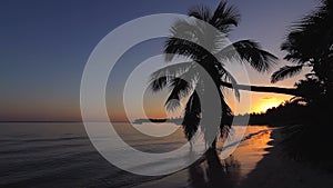 Sunrise over tropical island beach and palm trees. Punta Cana, Dominican Republic