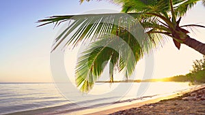 Sunrise over tropical island beach and palm trees. Punta Cana, Dominican Republic