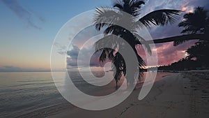 Sunrise over tropical island beach and palm trees. Punta Cana, Dominican Republic