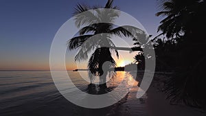 Sunrise over tropical island beach and palm trees. Punta Cana, Dominican Republic