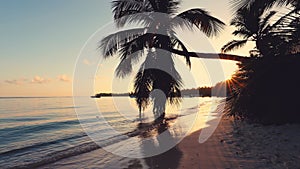 Sunrise over tropical island beach and palm trees. Punta Cana, Dominican Republic