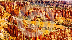 Sunrise over the Vermilion colored Pinnacles, Hoodoos and Amphitheaters along the Navajo Loop Trail in Bryce Canyon National Park