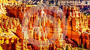 Sunrise over the Vermilion colored Pinnacles, Hoodoos and Amphitheaters along the Navajo Loop Trail in Bryce Canyon National Park