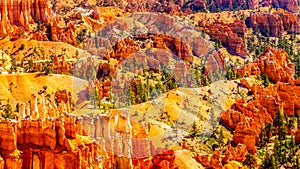 Sunrise over the Vermilion colored Pinnacles, Hoodoos and Amphitheaters along the Navajo Loop Trail in Bryce Canyon National Park