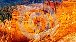 Sunrise over the Vermilion colored Pinnacles, Hoodoos and Amphitheaters along the Navajo Loop Trail in Bryce Canyon National Park