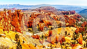 Sunrise over the Vermilion colored Pinnacles, Hoodoos and Amphitheaters along the Navajo Loop Trail in Bryce Canyon National Park