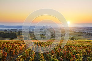 Sunrise over vineyards of Beaujolais during autumn season