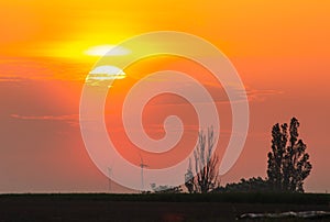 Sunrise over wind turbines in a green field