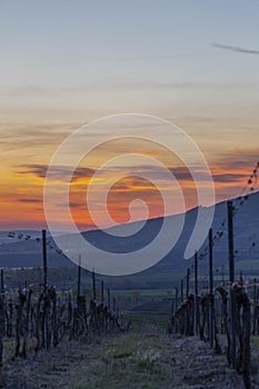 Sunrise in Palava with Devicky ruins, Southern Moravia, Czech Republic