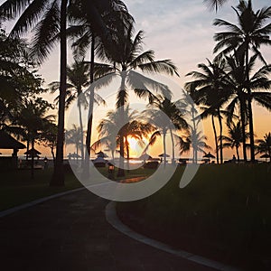 Sunrise and palm trees in Bali