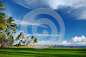 Sunrise with palm trees in Salt Pond Beach Park