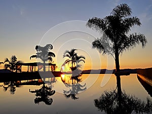 Sunrise, palms and bungalow view in Senador JosÃÂ© Bento, Minas Gerais, Brazil. 01/Jan/2020 photo