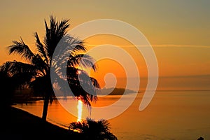 Sunrise with a palmtree