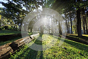 Sunrise at Pang-ung, pine forest park