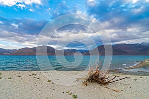 Sunrise at Pangong Tso - Leh Ladakh, Jammu and Kashmir, India