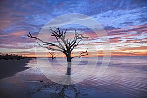 Sunrise Paradise in Edisto Island