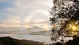 Sunrise peeking from behind a tree with mountain and sea of cloud as background.